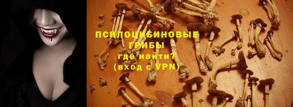 стаф Горно-Алтайск