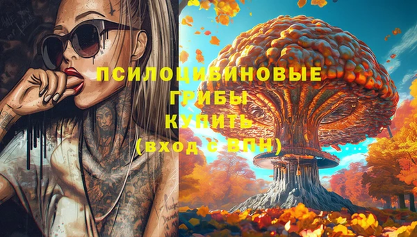 стаф Горно-Алтайск