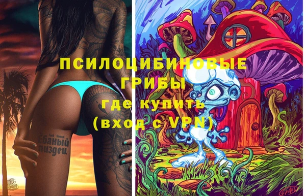 стаф Горно-Алтайск
