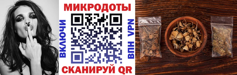 Псилоцибиновые грибы Psilocybe  Череповец 